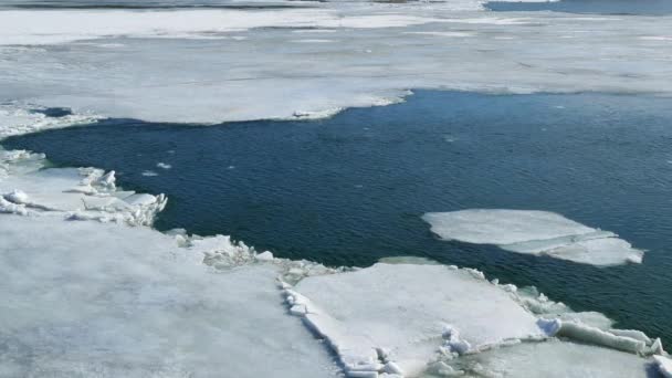 春天破冰飘浮在河上 — 图库视频影像