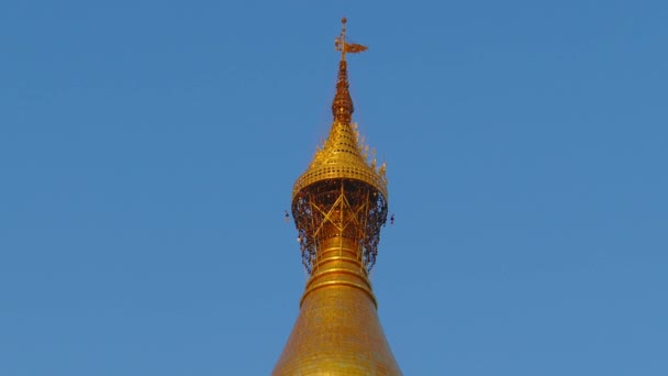 Parte Superior Pagoda Shwedagon Rangún Myanmar Birmania — Vídeos de Stock