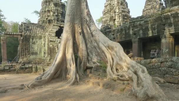Templo Prohm Angkor Wat Siem Reap Camboya Vista Inclinada — Vídeo de stock