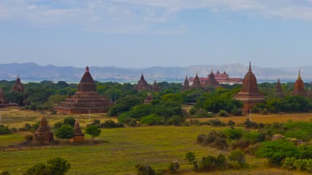 Panorama Landscape Temples Bagan Myanmar Burma Timelapse — Stock Video