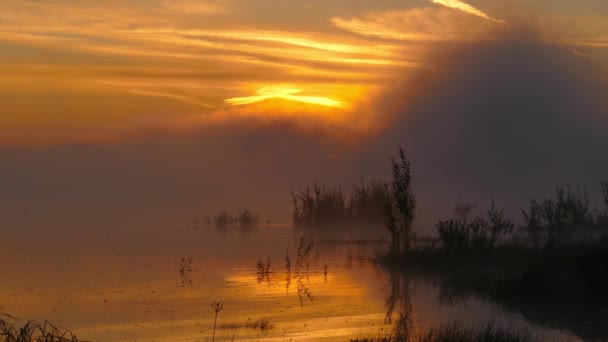 Landschaft Mit Sonnenaufgang Fluss Nebel — Stockvideo