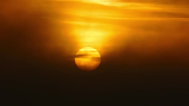 Sol Nascendo Nevoeiro Telefoto — Vídeo de Stock