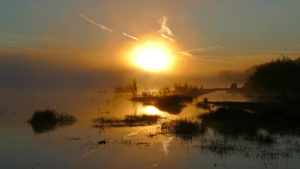 霧の中で川の日の出と風景 — ストック動画