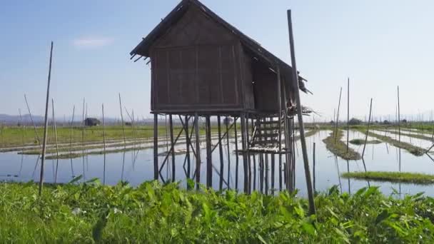 Schwimmende Gärten Auf Dem Inle See Myanmar Burma — Stockvideo