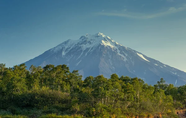 Sopka Korjakského na poloostrově Kamčatka — Stock fotografie