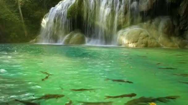 カナチャナブリ県 4Kの水で魚とエラワン滝 — ストック動画
