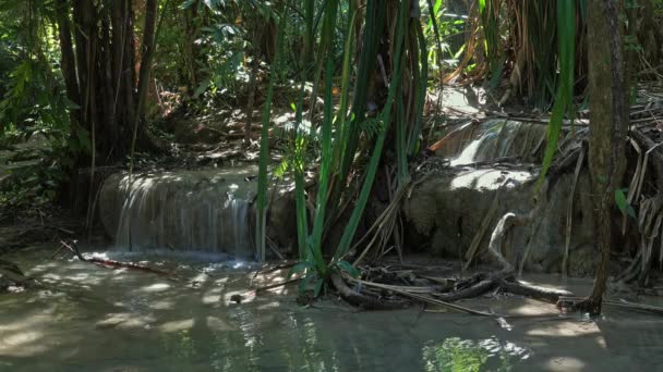 熱帯ジャングルの川 台湾の滝 カンチャナブリ県 — ストック動画