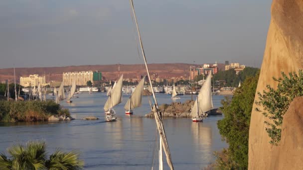 Krásná Krajina Felucca Čluny Řece Nil Aswanu Při Západu Slunce — Stock video