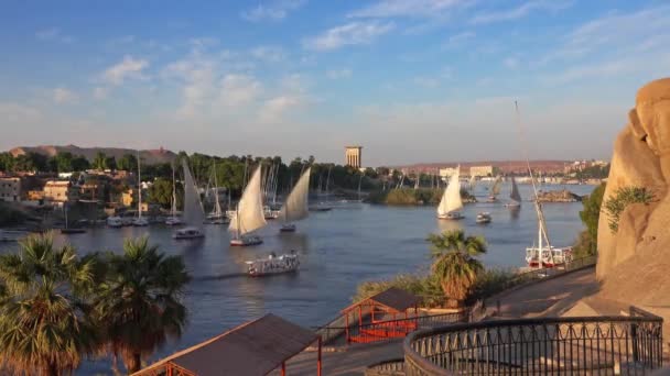 Krásná Krajina Felucca Čluny Řece Nil Aswanu Při Západu Slunce — Stock video