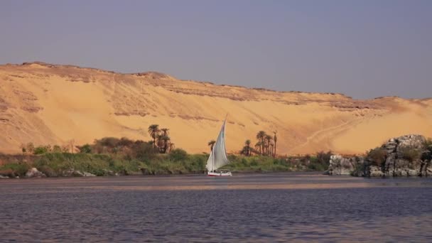 Bela Paisagem Com Barco Felucca Rio Nilo Perto Assuão Egito — Vídeo de Stock