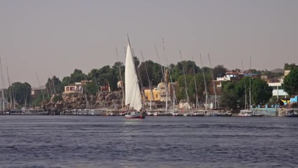 Egyptský Felucca Loď Plující Podél Řeky Nil Asuánu — Stock video