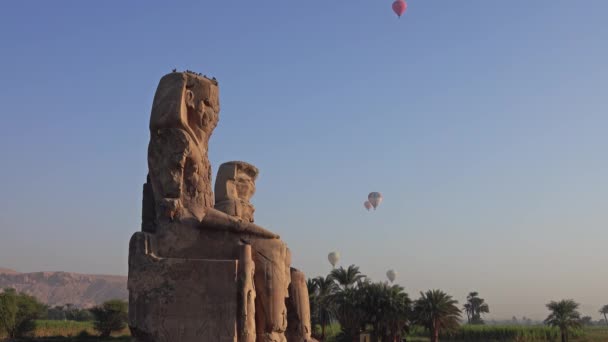 Колосси Мемнона Гигантские Статуи Воздушные Шары Луксор Египет — стоковое видео