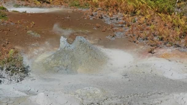 Caldera Del Volcán Uzón Reserva Natural Kronotsky Kamchatka Rusia — Vídeos de Stock