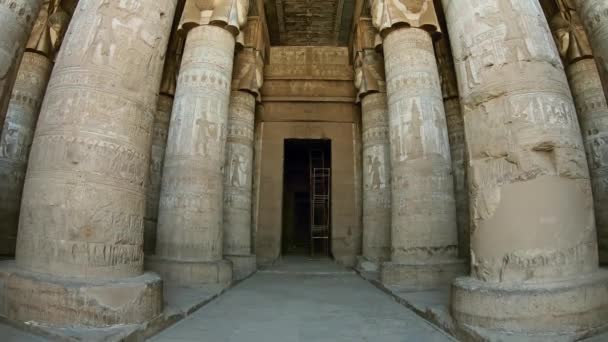 丹德拉神殿内饰和雕刻的低风格大厅 Qena附近的古埃及庙宇 倾斜视图4K — 图库视频影像