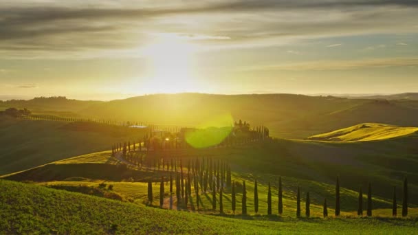 Paisaje Toscano Con Carretera Cipreses Campo Montaña Atardecer Italia Europa — Vídeos de Stock