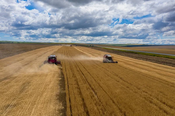 Аерофотозйомка Комбайна Працює Полі Золотої Пшениці — стокове фото