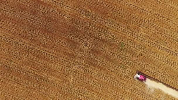 Aerial Top View Combine Harvester Working Golden Wheat Field — Stock Video