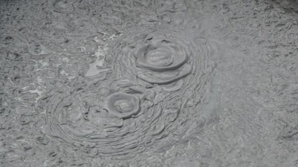 Brown Joven Oso Jugando Agua — Vídeos de Stock