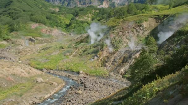 Aguas Termales Fumarolas Famoso Valle Los Géiseres Península Kamchatka Rusia — Vídeos de Stock