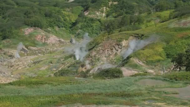 Heiße Quellen Und Fumarolen Berühmten Tal Der Geysire Halbinsel Kamtschatka — Stockvideo