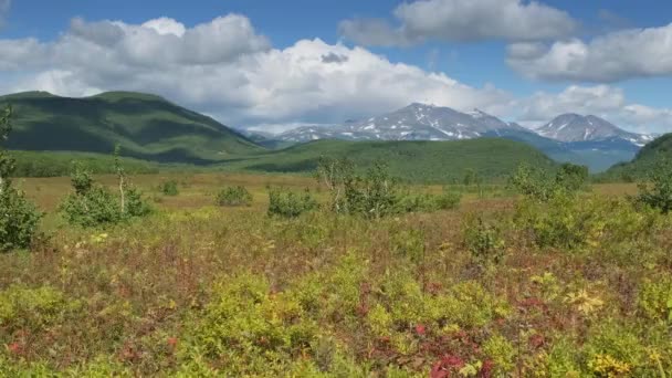 俄罗斯堪察加半岛有火山的夏季景观 — 图库视频影像