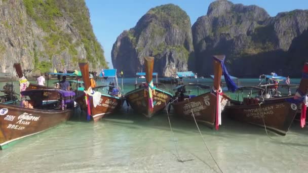 Phi Phi Krabi Thailand Circa Feb 2016 Long Tail Boat — 비디오