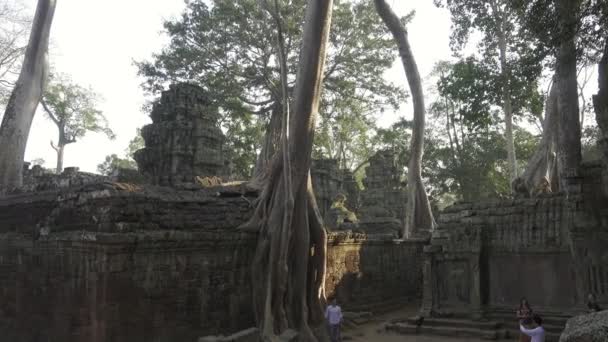 Siem Reap Cambodia Circa Feb 2016 Turistas Prohm Templo Angkor — Vídeo de Stock