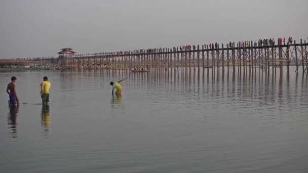ミャンマーのマンダレー Circa Jan 2016 タウンタマン湖の有名なU Beinチーク橋の近くの漁師 — ストック動画