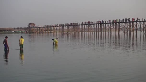 Mandalay Myanmar Circa Ene 2016 Pescadores Cerca Del Famoso Puente — Vídeo de stock