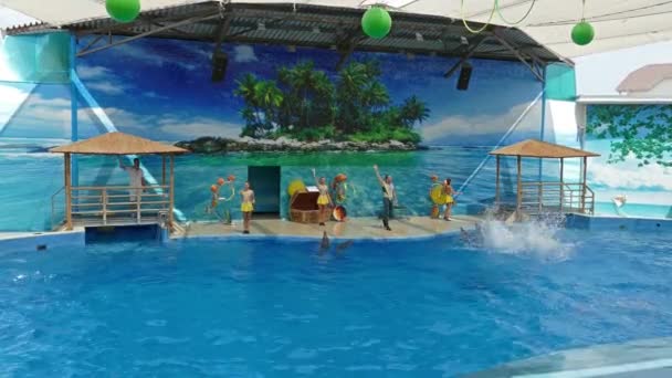 Anapa Russia Circa Aug 2016 Performance Dolphins 与海生动物在Anapsky海豚馆的表演 — 图库视频影像
