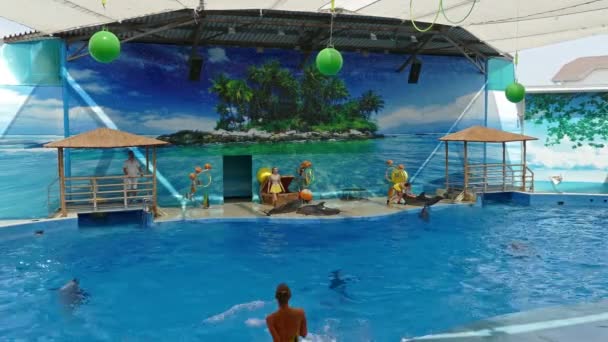 Anapa Russia Circa Aug 2016 Yunusların Performansı Anapsky Dolphinarium Deniz — Stok video