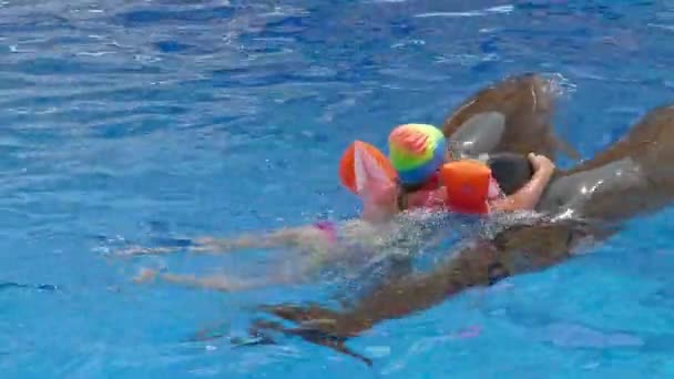 Anapa ロシア Circa 2016年8月 小さな女の子がプール内の2匹のイルカ Anapsky Dolphinariumで泳ぐ — ストック動画