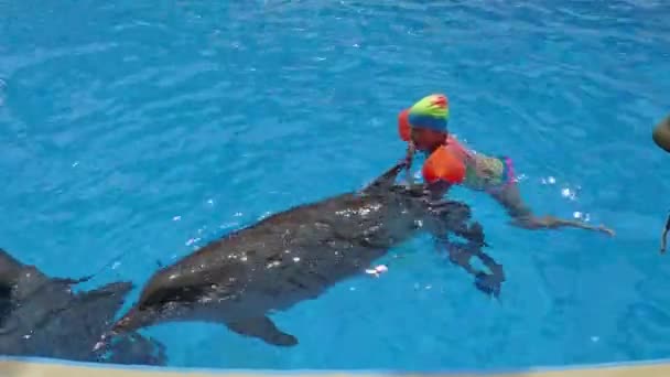 Anapa Rusia Circa Ago 2016 Niño Nadando Con Delfines Piscina — Vídeo de stock