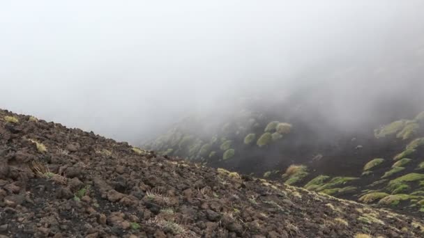 Picturesque Foggy Volcanic Landscape Mount Etna Etna National Park Sicily — Stock Video