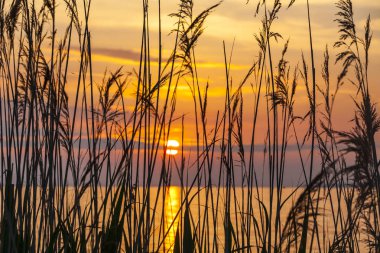 Balaton Gölü, Macaristan üzerinden gündoğumu. Pastel sabah renkleri göl ve gökyüzü