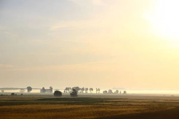 Malebné Pohádky Východ Slunce Nad Misty Meadow Létě Ráno Brzy — Stock fotografie
