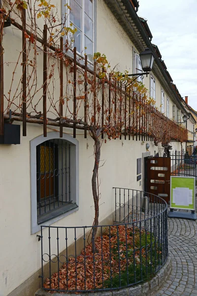 Staré Révy Stavení Městě Maribor Slovinsko Fasáda Budovy Pokryt 400 — Stock fotografie