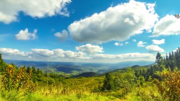 Picturesque Landscape Carpathian Mountains Early Autumn View Mount Pikui 1405M — Stock Video