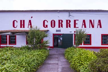 Sao Miguel Island, Azores, Portekiz - 2 Ekim 2015: bina Porto Formoso çay fabrikası Azores, Portekiz. Azores olduğunu sadece böyle çay plantasyon Avrupa'nın evine