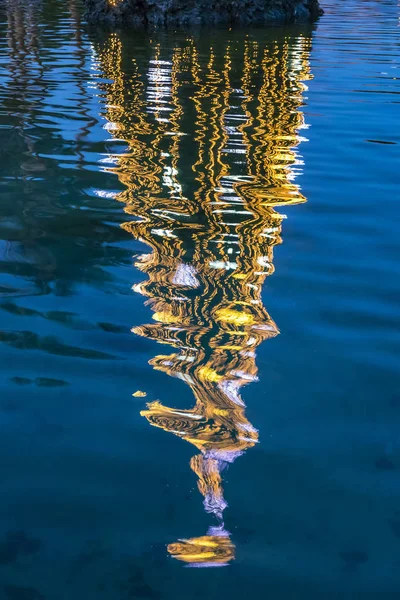 Close Illuminated Decorated New Year Tree Reflected Water Huelin Park — Stock Photo, Image