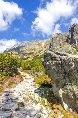 Yüksek Tatras dağlar (Vysoke Tatry), Slovakya'da yürüyüş. Mlynicka Vadisi. Skok şelale (1789m) giderken (Slovakça: Vodopad Skok). Sunny sonbahar günü