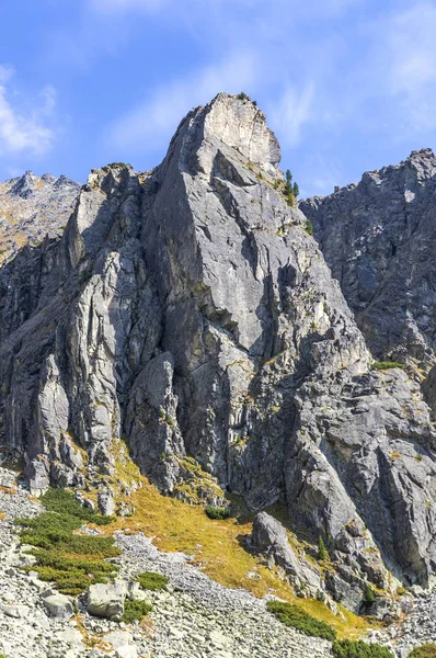 Piesze Wycieczki Tatrach Wysokich Vysoke Tatry Słowacja Mlynicka Valley Drodze — Zdjęcie stockowe