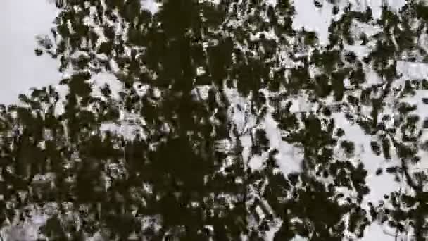 秋树的轮廓和多云的天空反射在水面上 水面上的小浪 — 图库视频影像