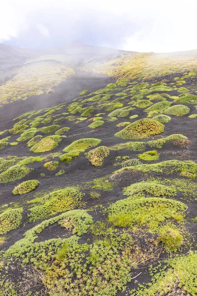 Malerische Vulkanische Landschaft Des Ätna Ätna Nationalpark Sizilien Italien Haufen — Stockfoto