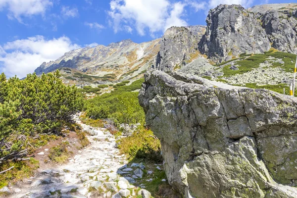Caminhadas High Tatras Mountains Vysoke Tatry Eslováquia Vale Mlynicka Caminho — Fotografia de Stock