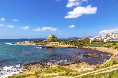 Akdeniz sahil Alghero City, Sardunya, İtalya. Bahar çiçekleri ve ön plan, ağaçta Alghero eski şehir merkezi arka plan üzerinde renkli binalar