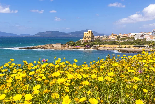 イタリア サルデーニャ島アルゲーロ市で地中海の海岸 アルゲーロの旧市街のカラフルな建物が背景上センター春の花と前景の木々 — ストック写真