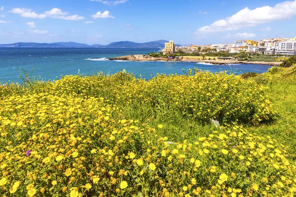 Costa Mediterranea Alghero Città Sardegna Italia Fiori Primaverili Alberi Primo — Foto Stock