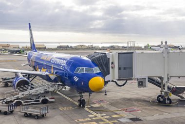 Las Palmas de Gran Canaria, İspanya - 13 Aralık 2018: Airbus A320 uçakları, hava Avrupa (Europa Park üniforma) yatılı Las Palmas de Gran Canaria Havaalanı (Lpa tarafından işletilen)