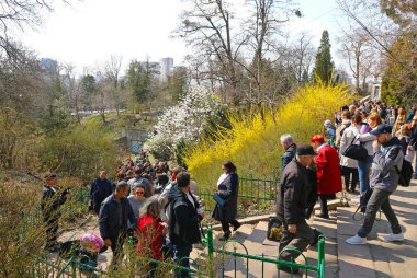 İnsanlar Kyiv Botanik Bahçesi 'nde güneşli Pazar zevk
